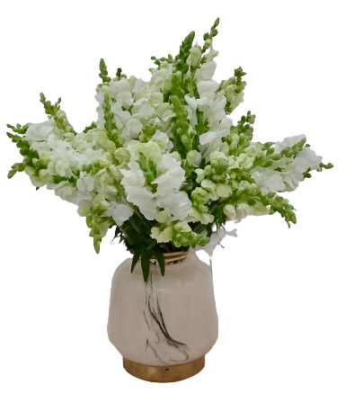 Snappy White in a Clear Vase