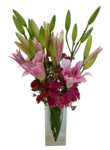 Lilies in Pink