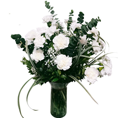 White Carnation in a vase