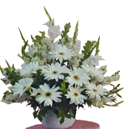 White Gerbera & Gladiola