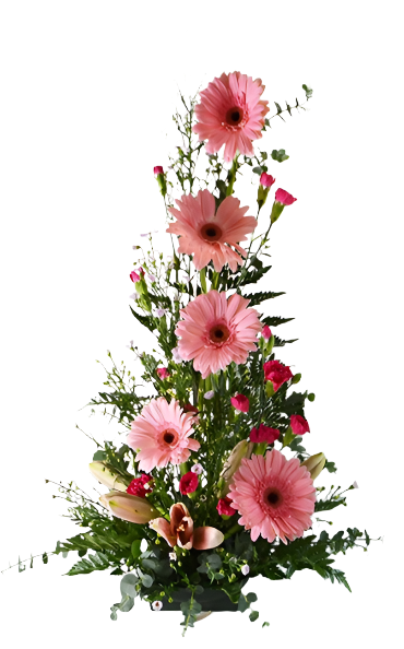 GERBERA, CARNATION & STARGAZER PINK IN A CLEAR VASE